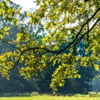 20211009 boswandeling 019