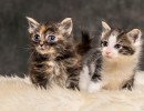 20211012 katje 10 815