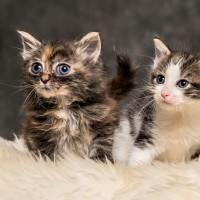 20211012 katje 10 815