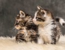 20211012 katje 12 817