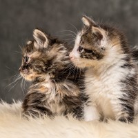 20211012 katje 12 817