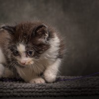 20211012 katje 14 819