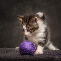 20211012 katje 15 820