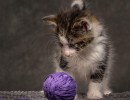 20211012 katje 16 821