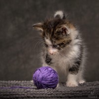 20211012 katje 16 821
