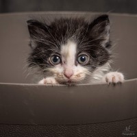 20211012 katje 18 823