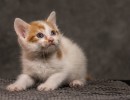 20211012 katje1 807
