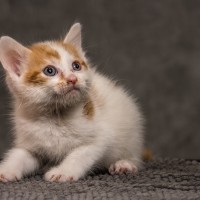 20211012 katje1 807