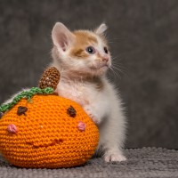 20211012 katje2 808