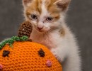 20211012 katje3 809