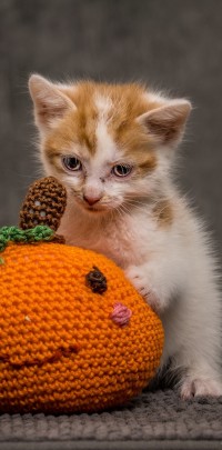 20211012 katje3 809