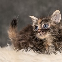 20211012 katje4 810