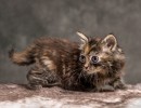 20211012 katje5 811