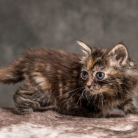 20211012 katje5 811
