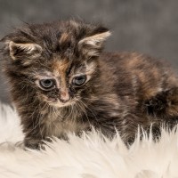 20211012 katje6 812