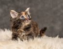 20211012 katje7 813