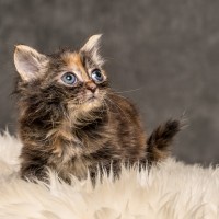 20211012 katje7 813