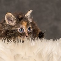 20211012 katje8 814