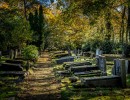20211024 kerkhof 016