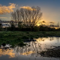 20211101 oostvaartdijk 003