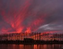 20211106 westvaartdijk 001
