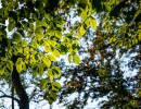20211109 boswandeling 013