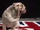 20211110 lewis