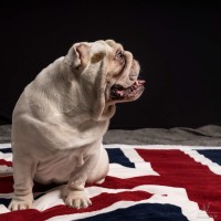 20211110 lewis