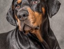 20211112 porthos 085