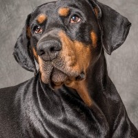 20211112 porthos 085