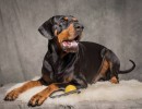 20211112 porthos 143