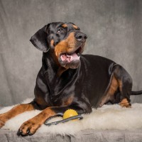 20211112 porthos 143