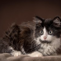 20211122 cruella happy 004