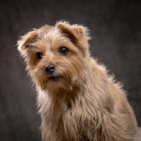 20211208 lola 014