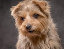 20211208 lola 029