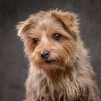 20211208 lola 029