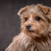 20211208 lola 036