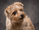 20211208 lola 064