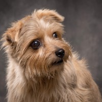 20211208 lola 064