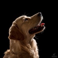 20211215 charly