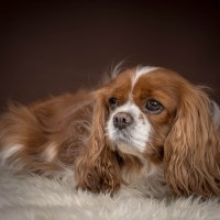 20211220 lady