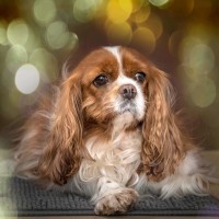 20211220 lady feest