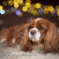 20211220 lady fijne feestdagen